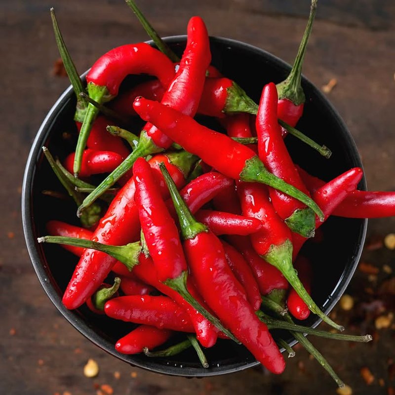 Chili pepper