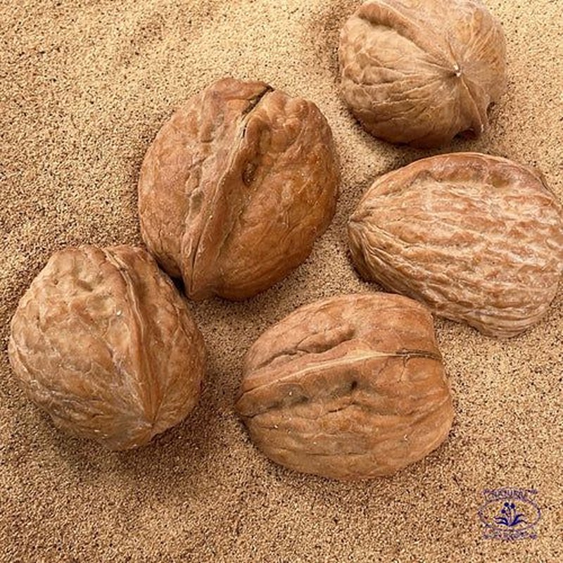 Walnut shell powder